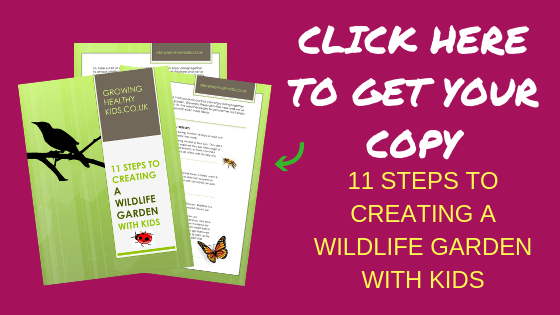 wildlife book