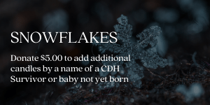 2023 CDH Angels and Snowflakes - CDH Research International
