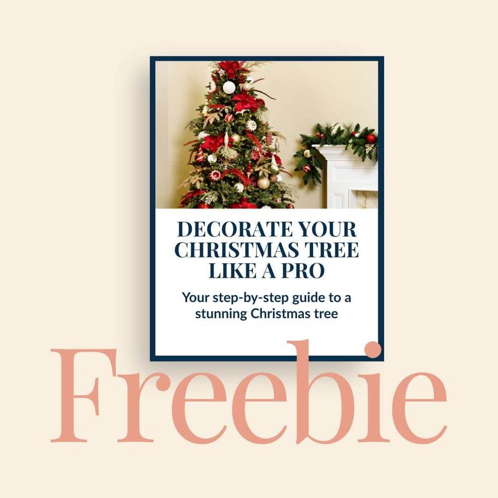 Services & Pricing Guide